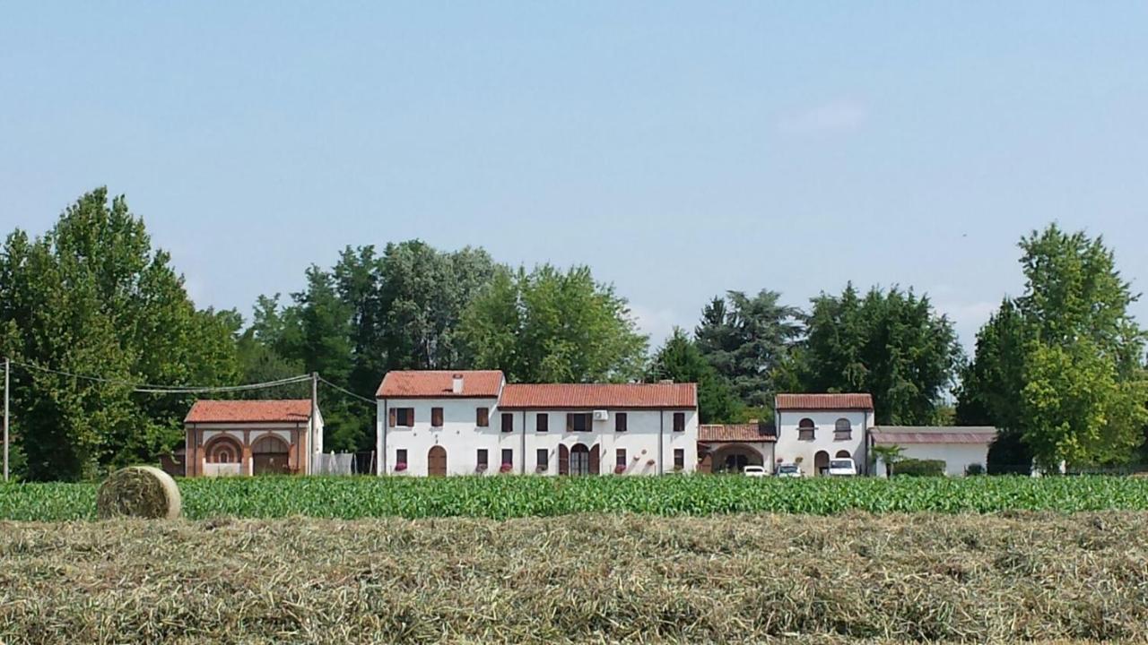 Bed and Breakfast La Casa Delle Rondini Roncoferraro Esterno foto